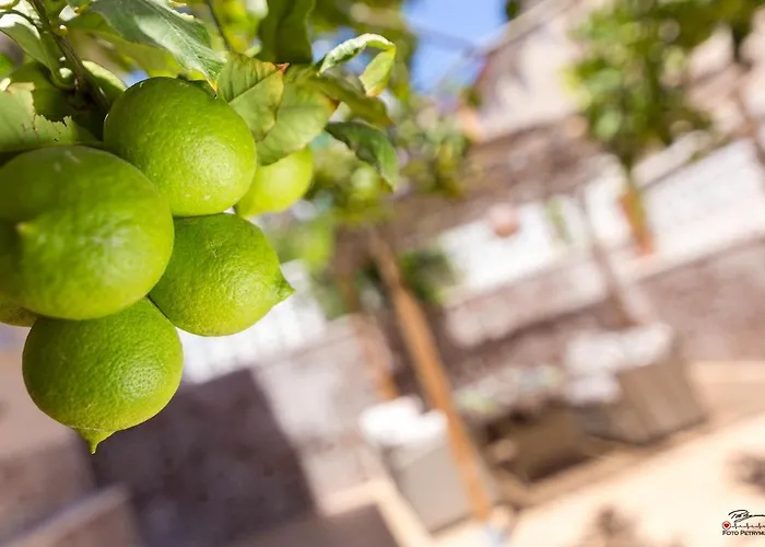 Apartament Lemon Paradise
